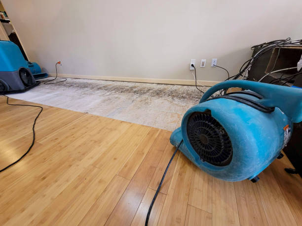 Professional Basement Flood Cleanup technician working in San Carlos, AZ